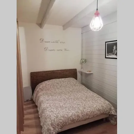 Studio Revermont Avec Jacuzzi En Option Апартаменты Ceyzeriat